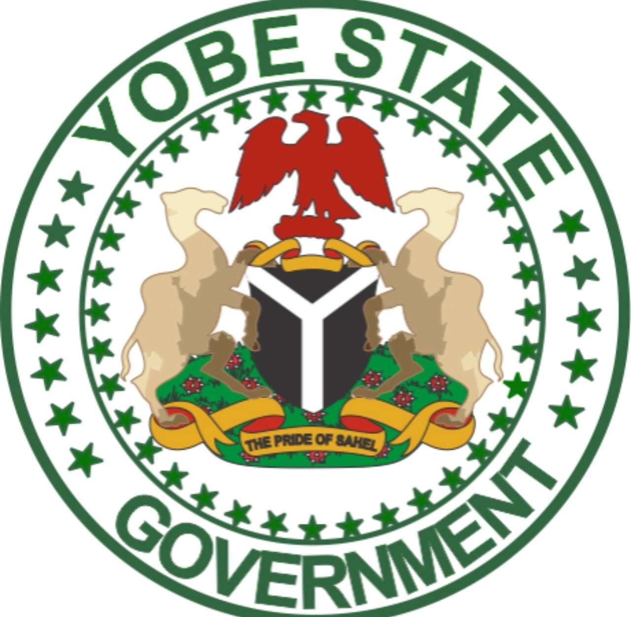 167 state-sponsored Yobe students graduate from Indian universities