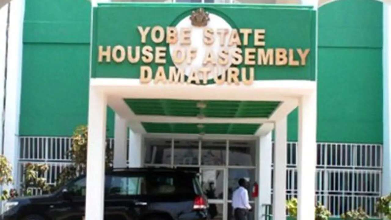 Yobe Assembly to make law for compulsory sickle cell, hepatitis tests before marriage