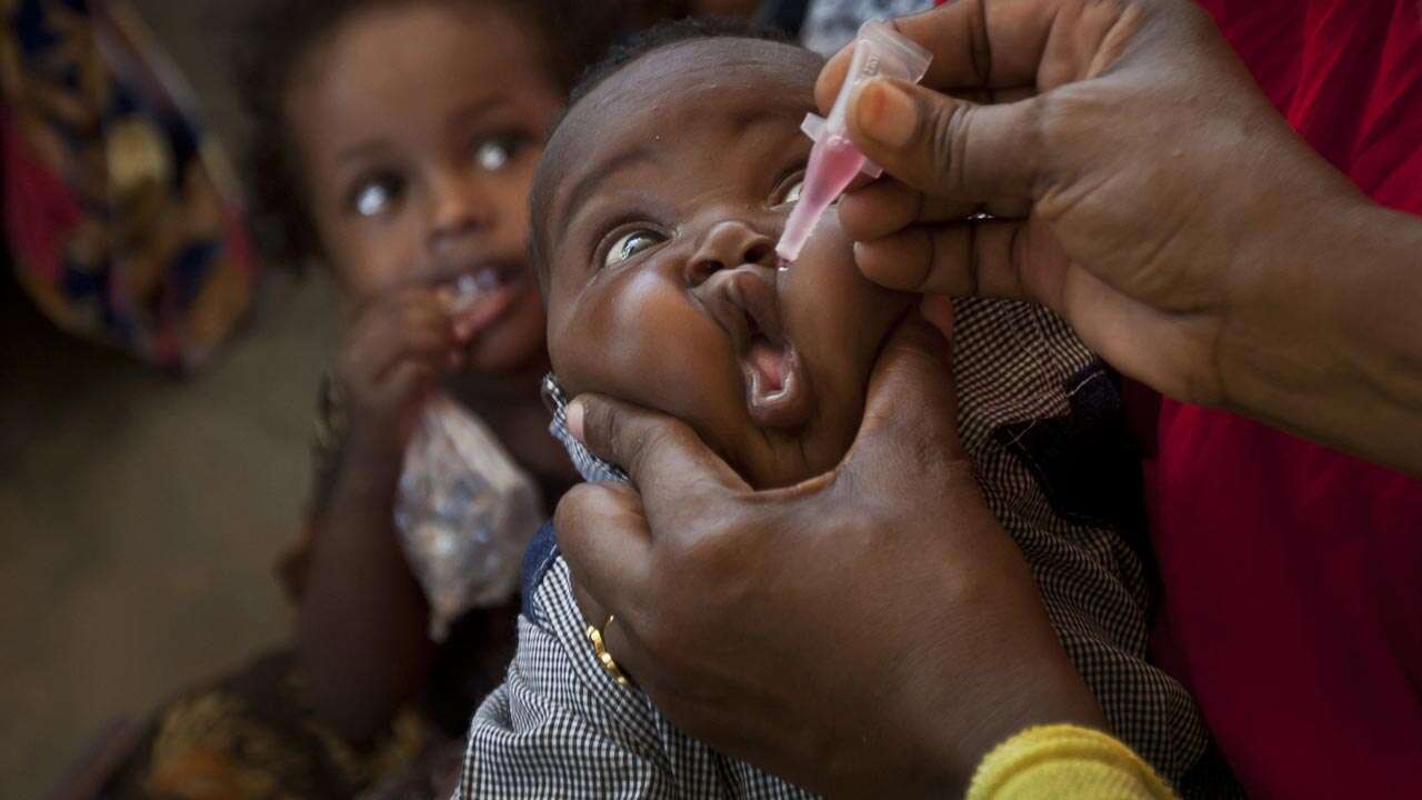 Polio mass vaccination campaign to resume in Gaza – WHO