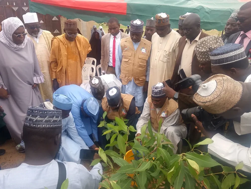Jigawa Assembly warns against illegal cutting down of trees