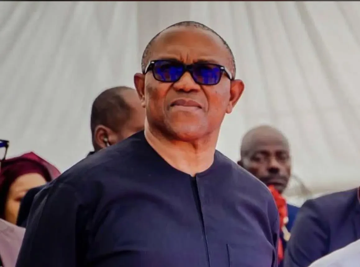 No one else in ADC coalition apart from Peter Obi’ – Mark replies Abdullahi