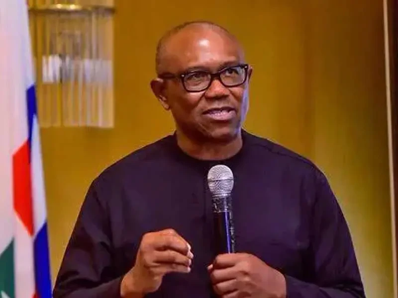 Buhari led with dignity – Peter Obi