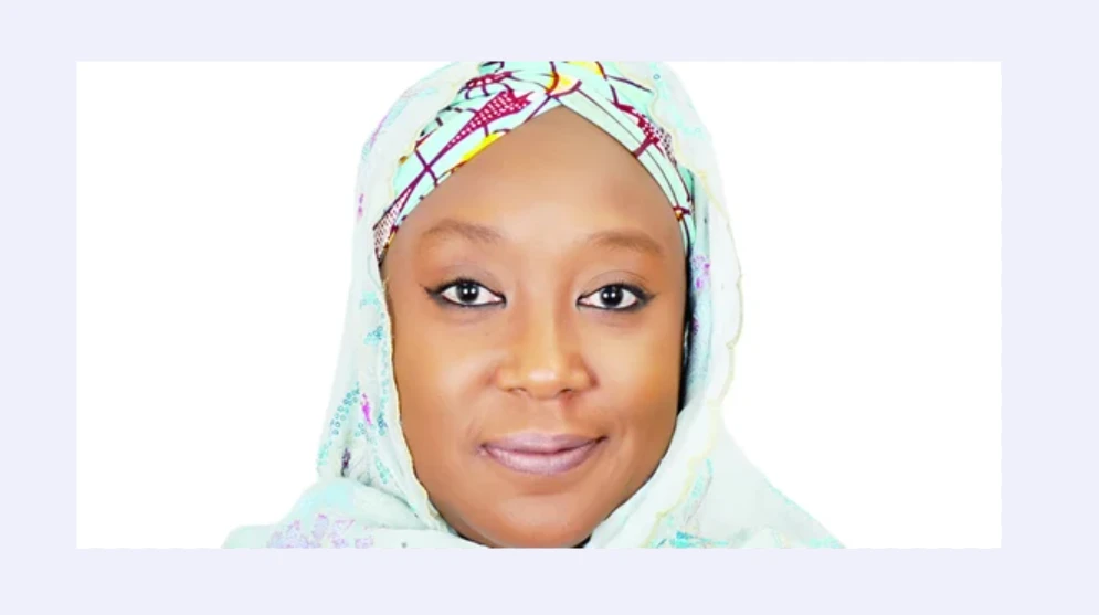 Yobe lawmaker raises alarm over terrorists attacks