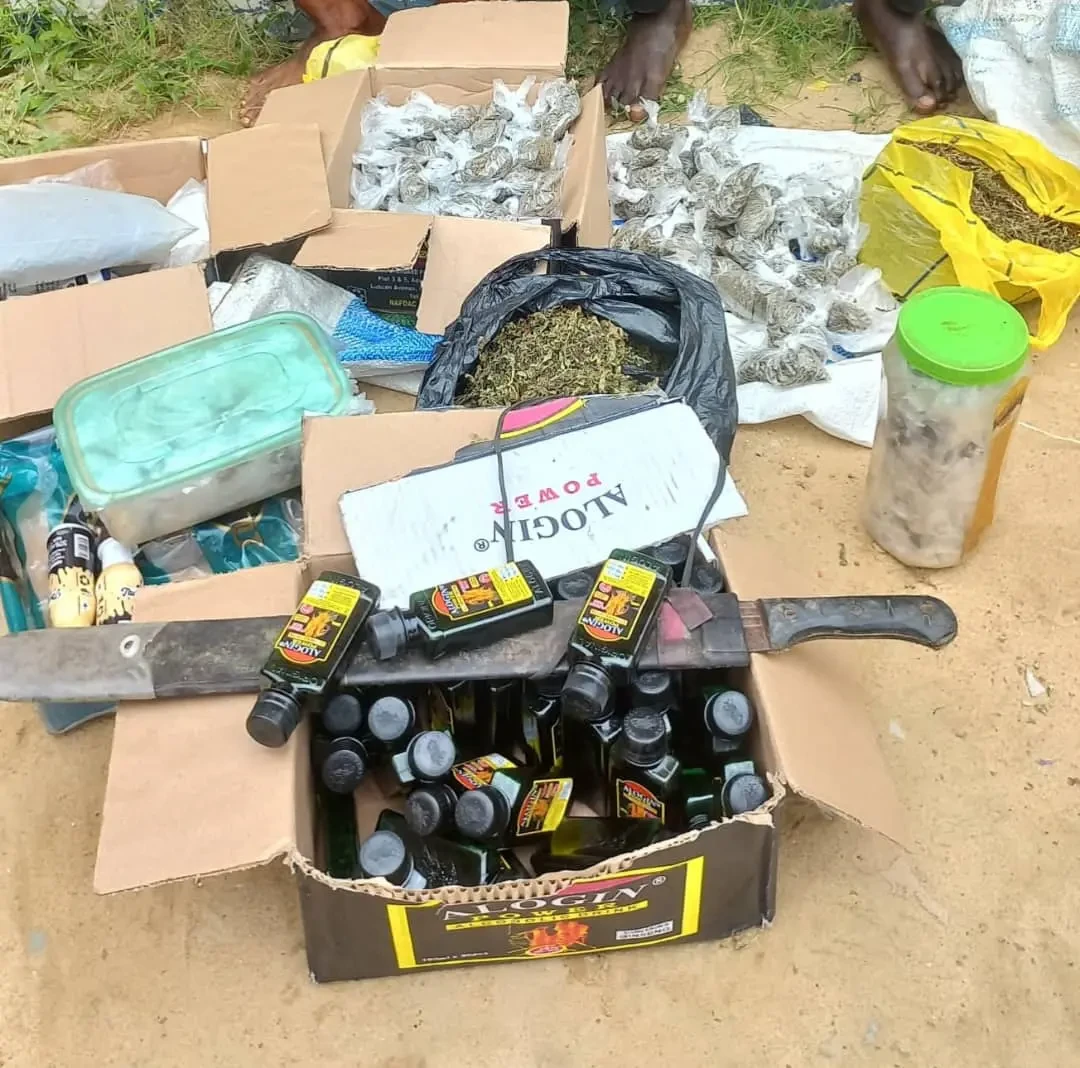 Police nabs 30 suspects for possession of weapons, drugs in Niger
