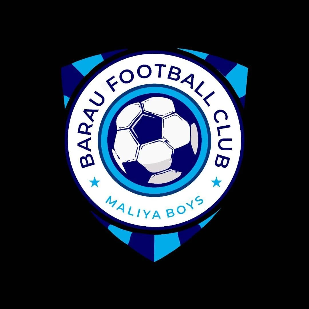 NPFL: Barau FC sign Ambrose, Okoko Jr