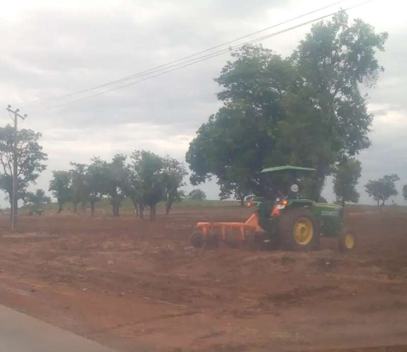 Niger farmers kick against destruction of farmlands, crops by State Govt