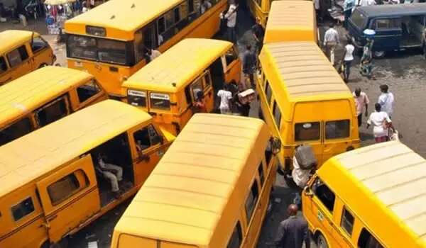 Lagos to regulate public bus operators