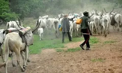 Police inspector, civilian shot dead by suspected herders in Benue