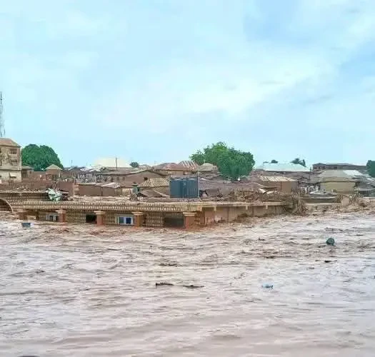 15 bodies recovered, many missing as rain water submerges homes in Niger