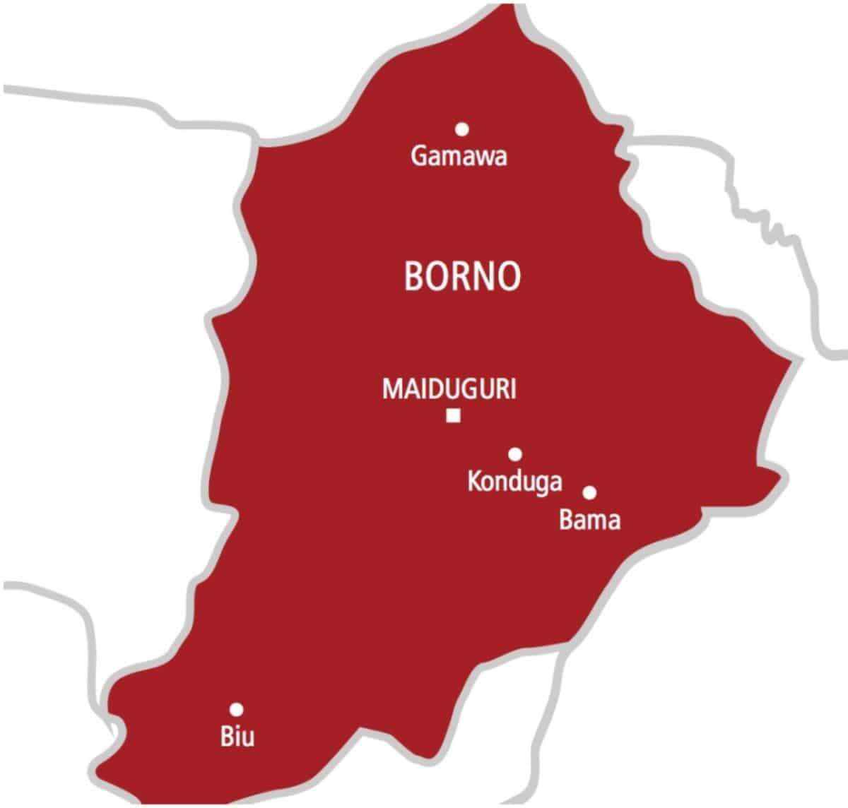 Suspected kidnapper shot dead by vigilantes in Borno market