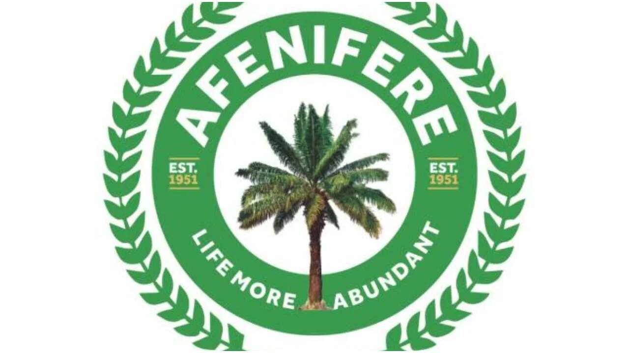 Afenifere calls for overhaul of Nigeria’s security architecture