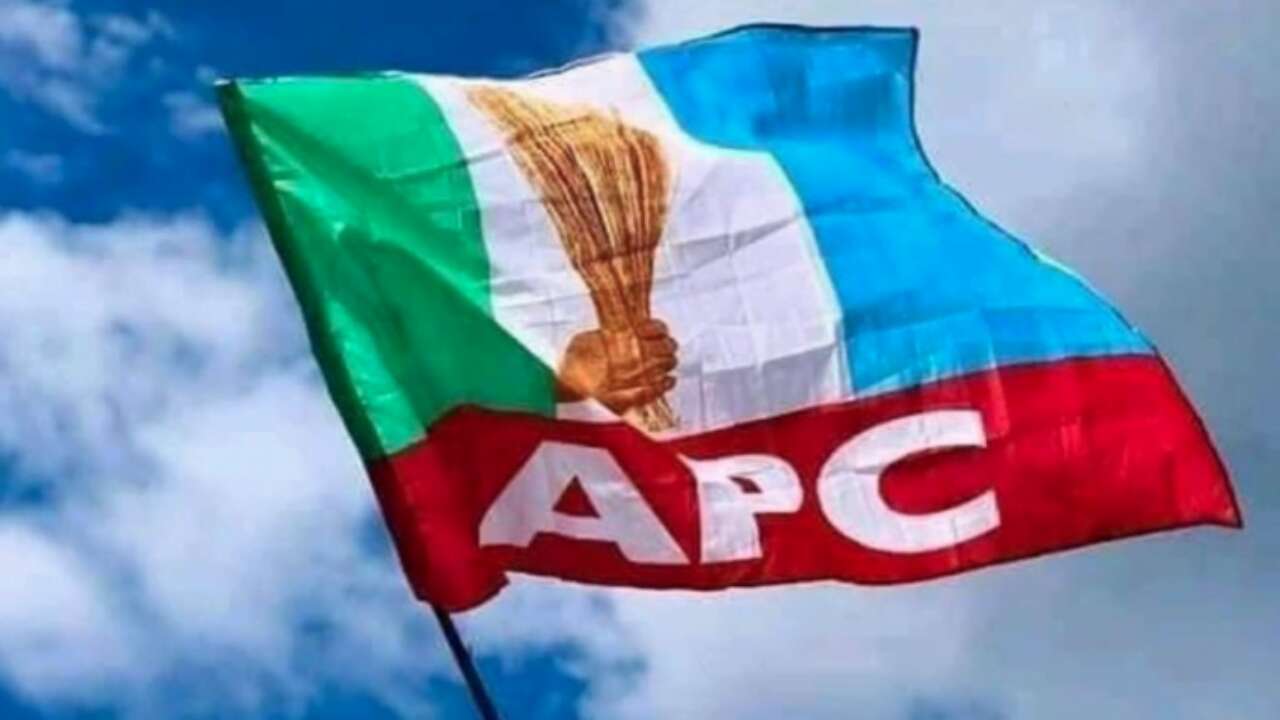 Appeal Court Judgement: NNPP protests aimed at creating violence in Kano – APC alleges