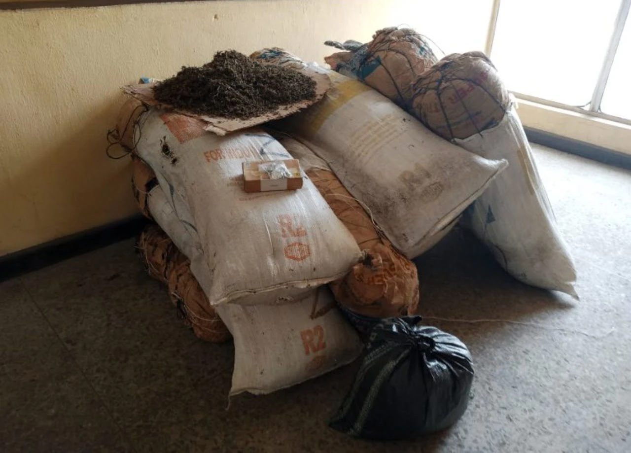 NDLEA seizes 646kg hard drugs, arrests 60 in Imo