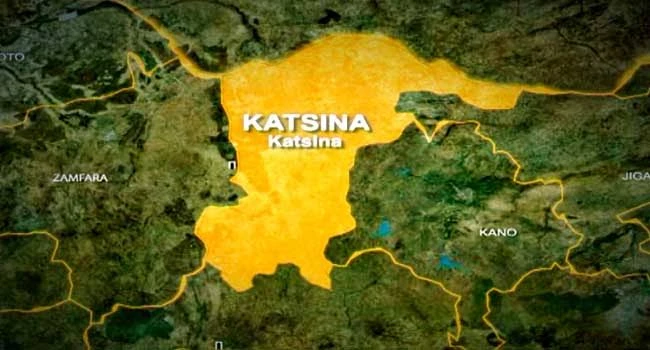 Arms coming into Katsina through Niger – Brigade Commander laments