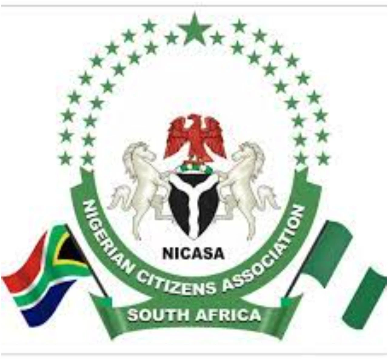 NICASA calls for calm over killing of Nigerian by South African police