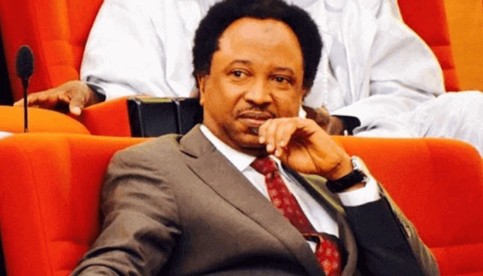 2027: They want Jonathan to help carry their coffin – Shehu Sani lambasts PDP faction