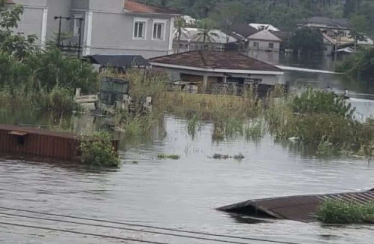 Flood: NEMA puts seven states on red alert