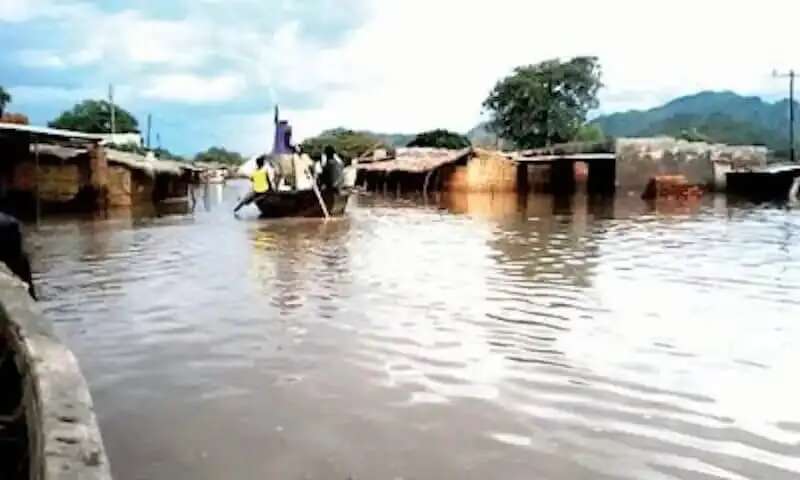 Flood kills 29, destroys 321,000 houses, 858,000 hectares of farmlands in Kebbi