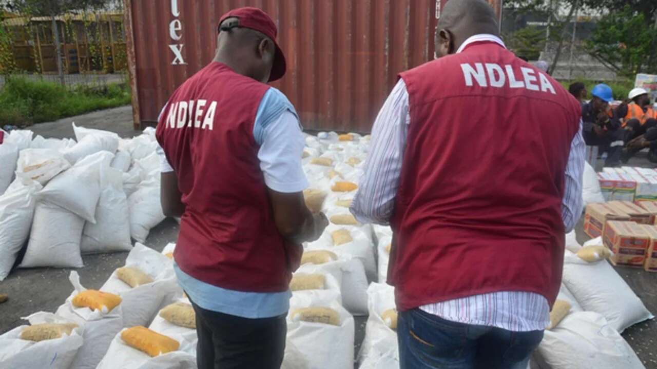 NDLEA makes biggest cocaine seizure in Benue history