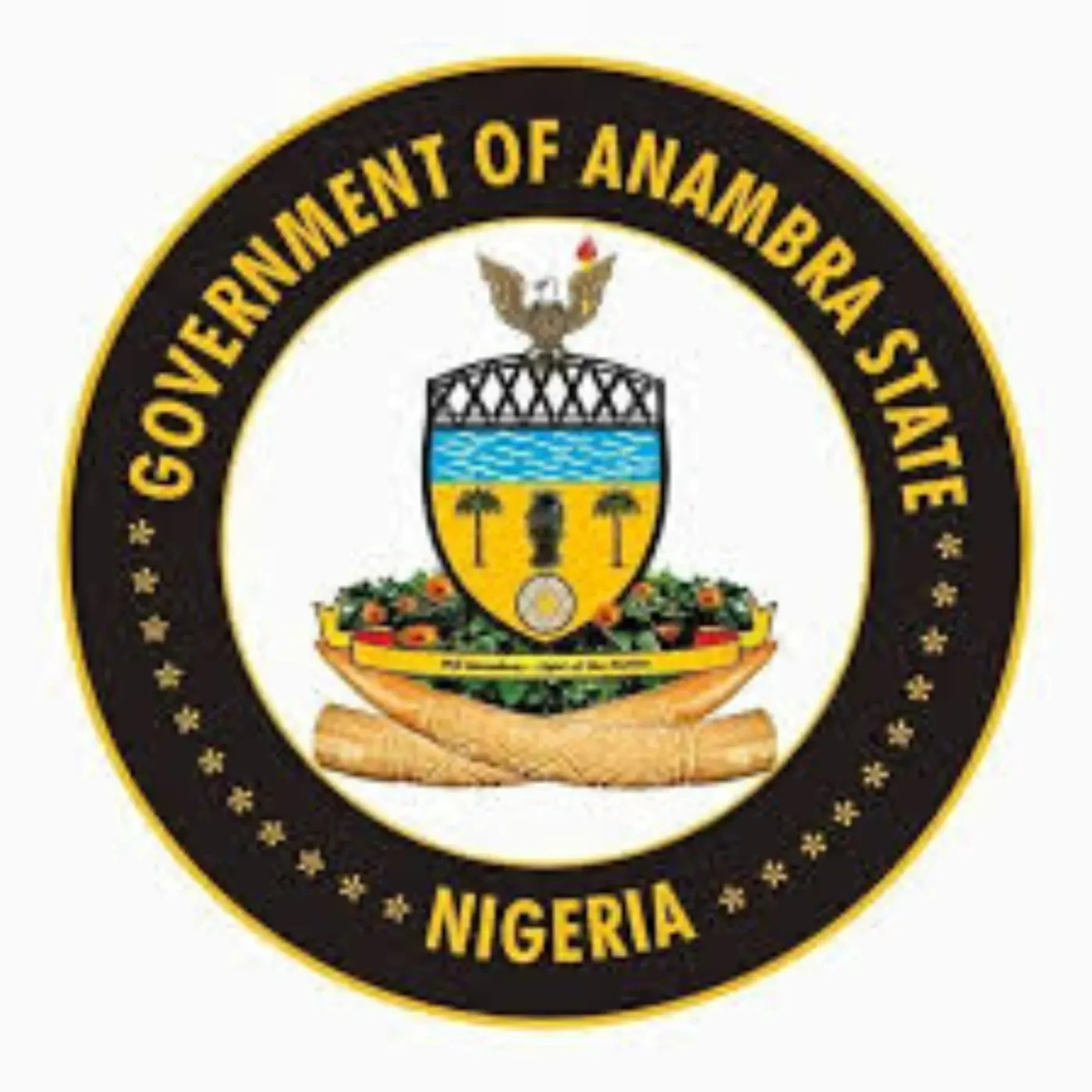 Demolition of Innoson building: Anambra govt insists no different rules for rich people
