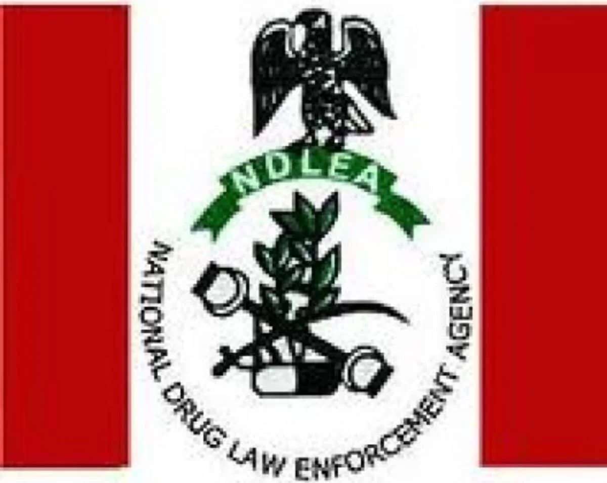 NDLEA most corrupt, compromised govt agency in Nigeria – Senator Ashiru