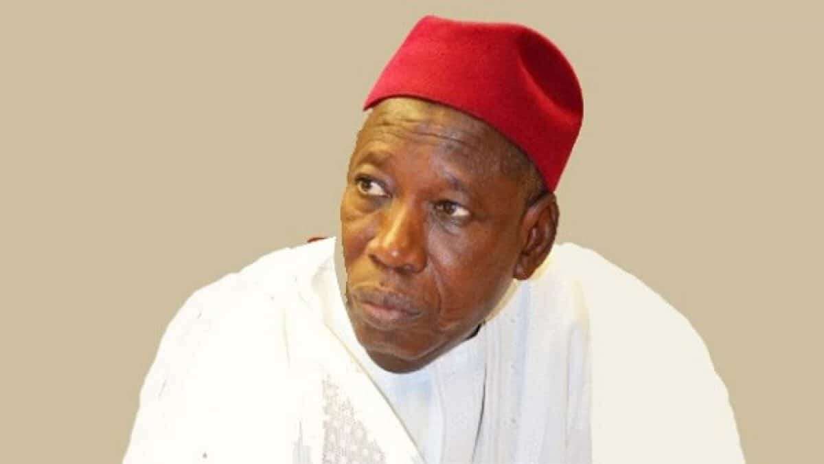 Kano guber poll: Ganduje is a serial loser – NNPP