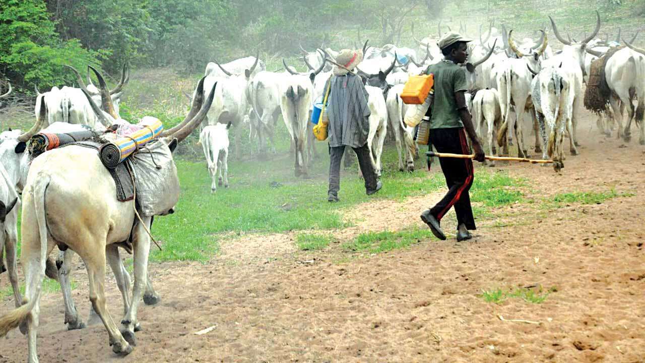 Three killed as suspected herdsmen attack Ajokpachi Odo community in Kogi