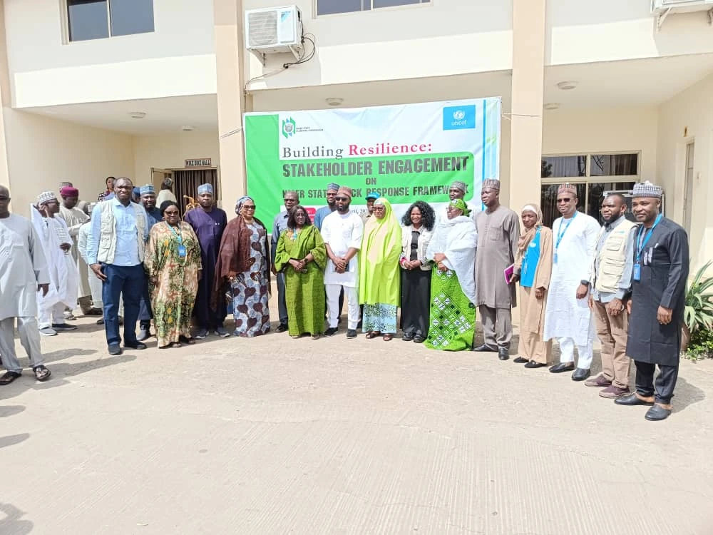 Niger govt to release budgeted funds for disaster response
