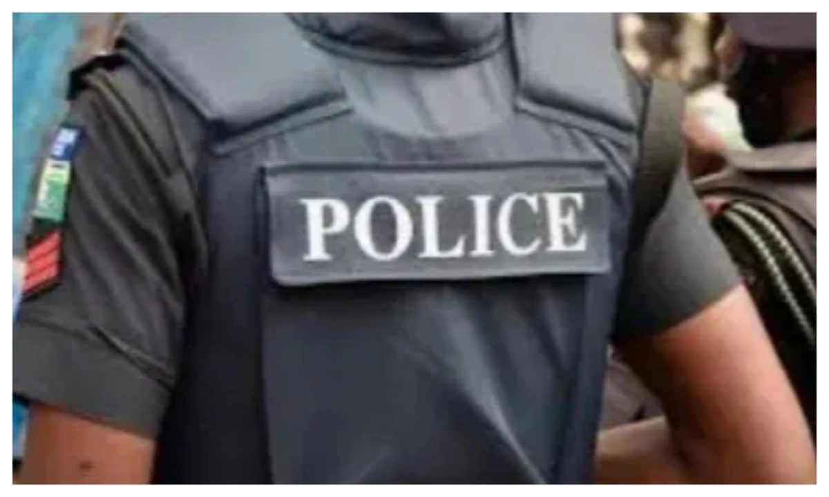  Police rescue officers mistaken for kidnappers in Ogun, warn against mob action