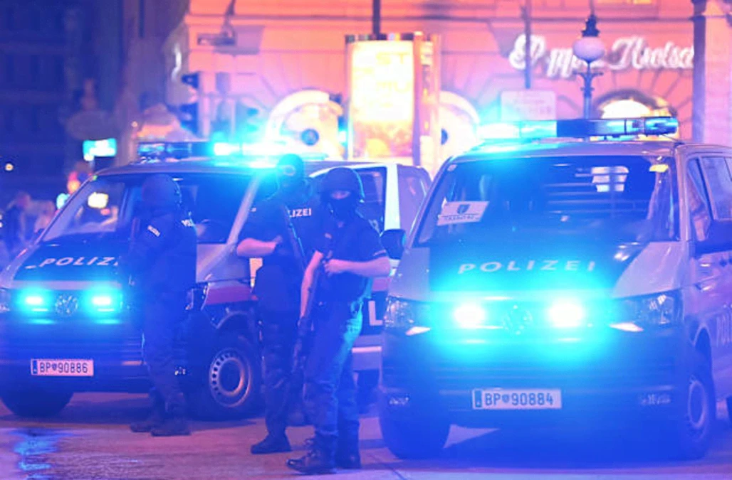 Fatalities reported after attackers target revellers in Vienna ahead of lockdown