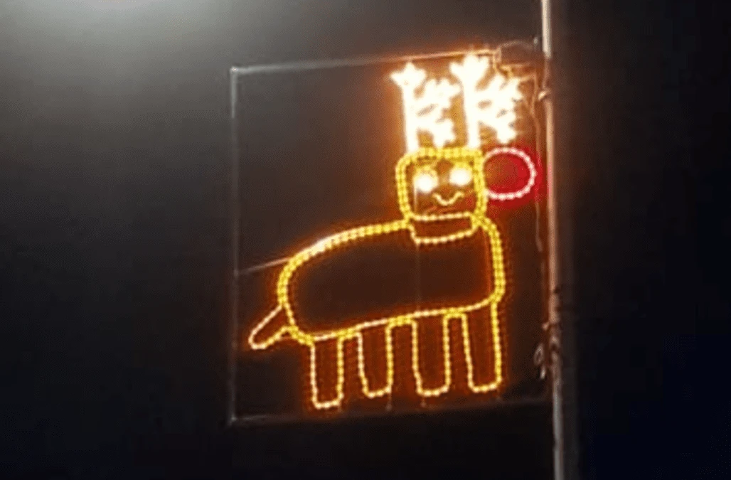 Christmas lights designed by children help spread joy as nights draw in