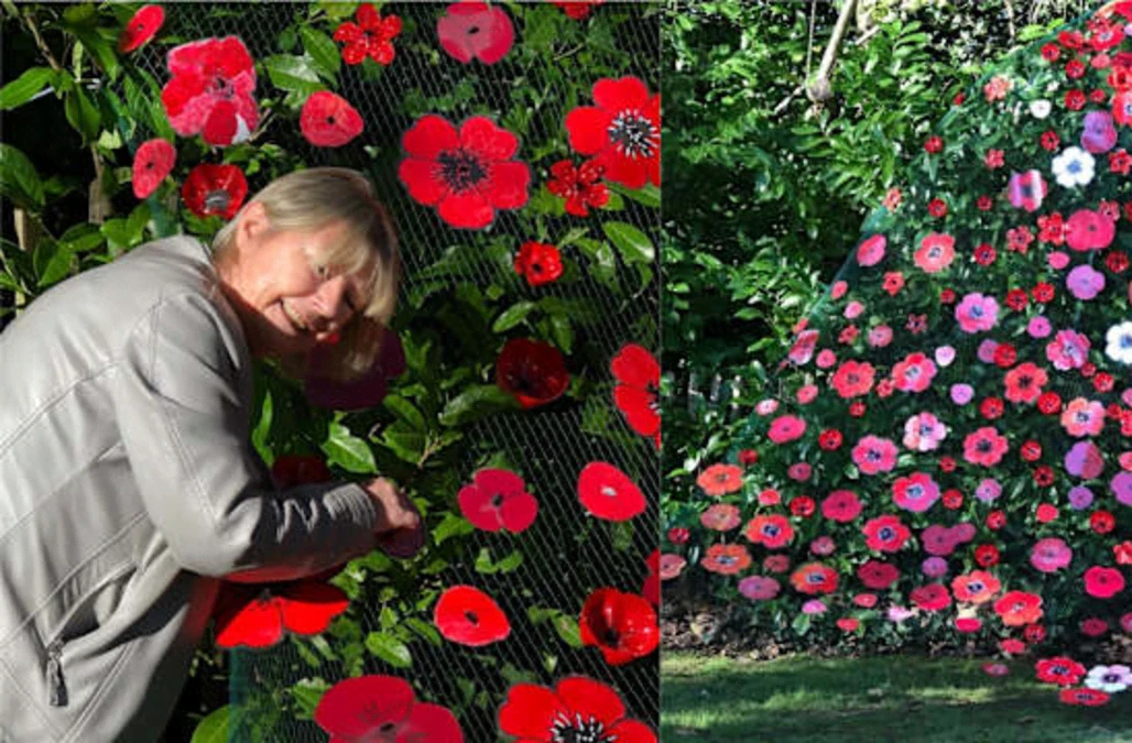 ‘Team effort’: Surrey care home’s handmade poppy cascade marks Remembrance Day