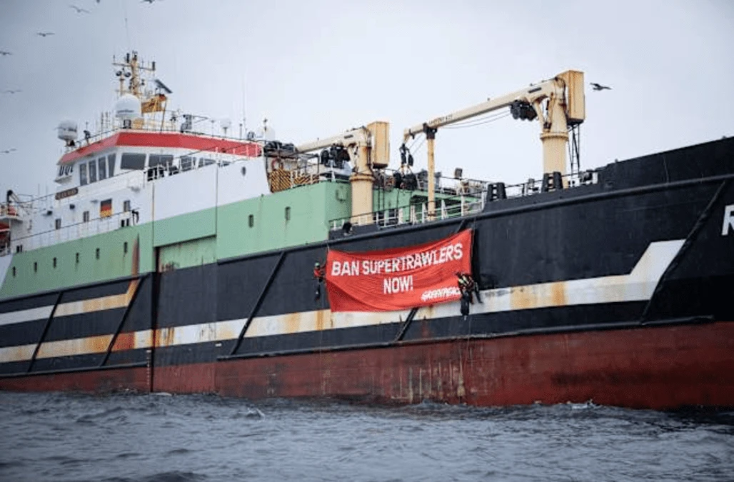 Activists board supertrawler to prevent it from fishing in ‘protected waters’