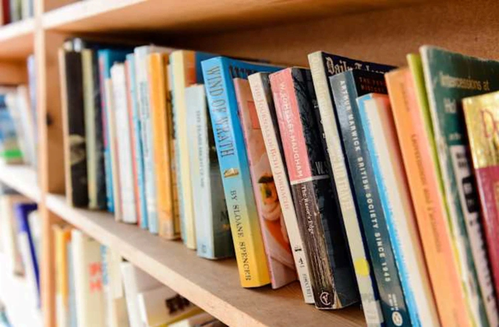 Winner of the British Academy’s Nayef Al-Rodhan Prize revealed