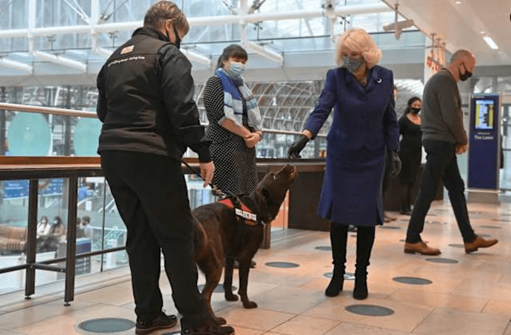 Camilla and Health Secretary hail Covid-19 sniffer dog demonstration