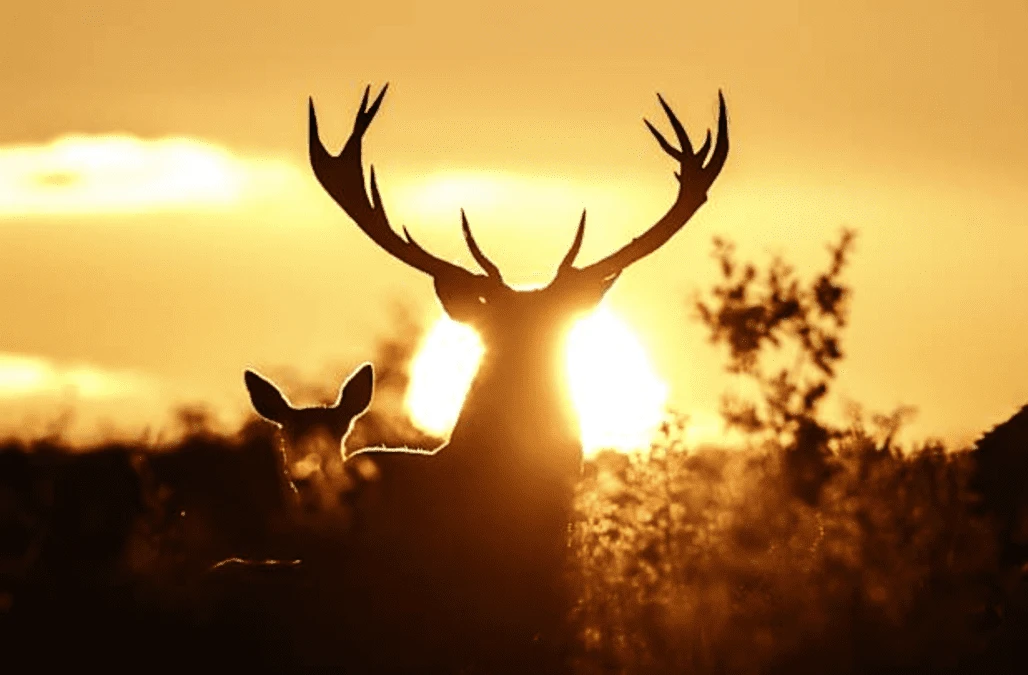 Glorious autumn sunshine gives way to heavy rain showers