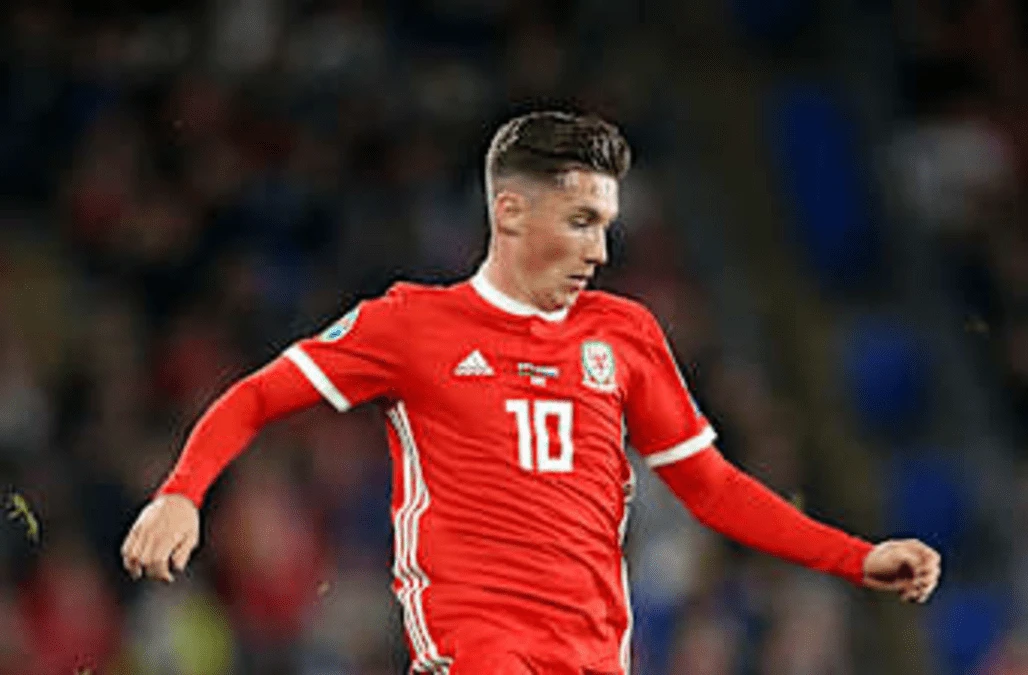Cardiff seal loan deal for Liverpool midfielder Harry Wilson