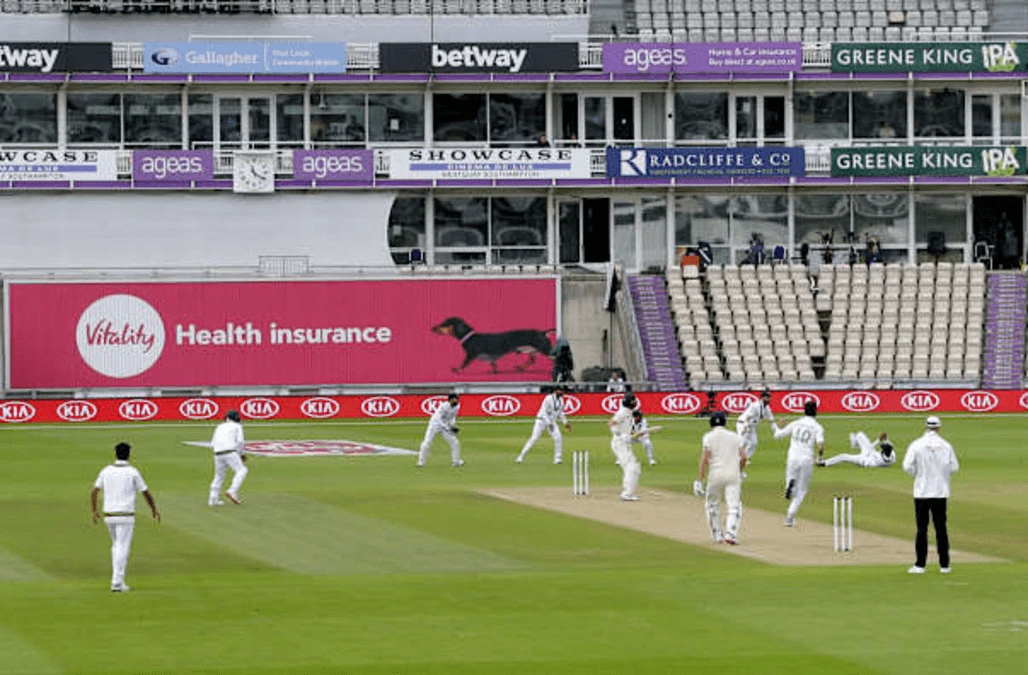 ECB ready to welcome back fans next summer as it announces India Test series