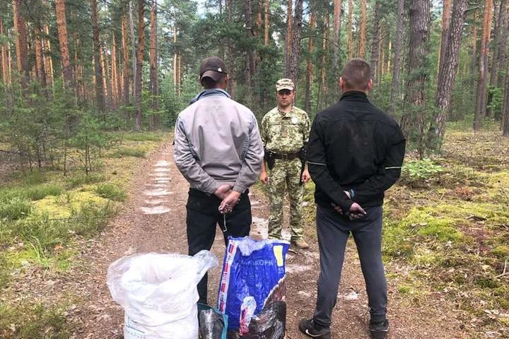 На Рівненщині двоє чоловіків збирали чорницю в зоні радіації, щоб потім її продати