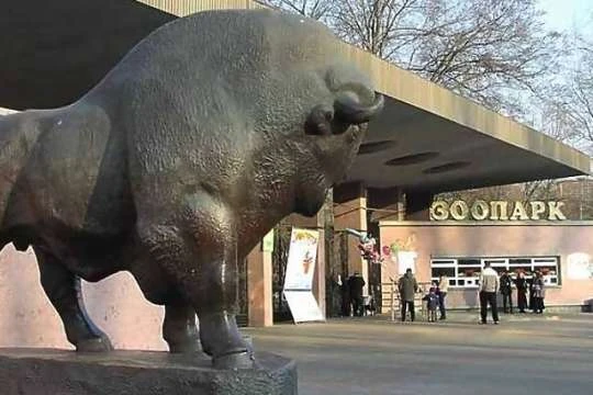 Кличко розповів, які ще зміни чекають на столичний зоопарк