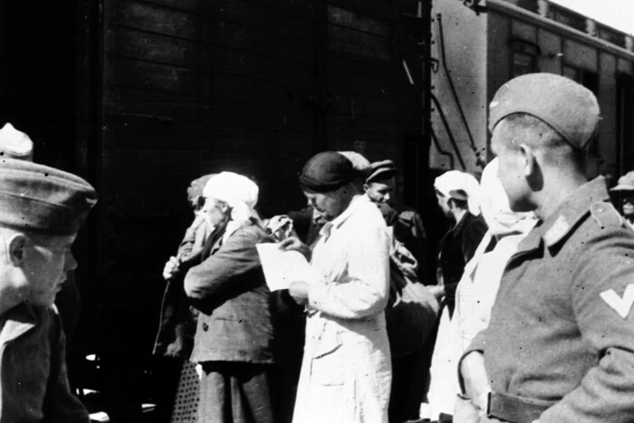 Втрати України у Другій світовій. Історик озвучив ймовірну цифру українських втрат
