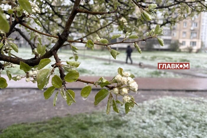 Коли ж нарешті весна? Синоптикиня дала чітку відповідь для засніженого Києва