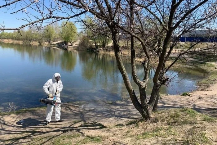 «Київзеленбуд» попередив про планові обробки від кліщів у столичних парках (адреси)