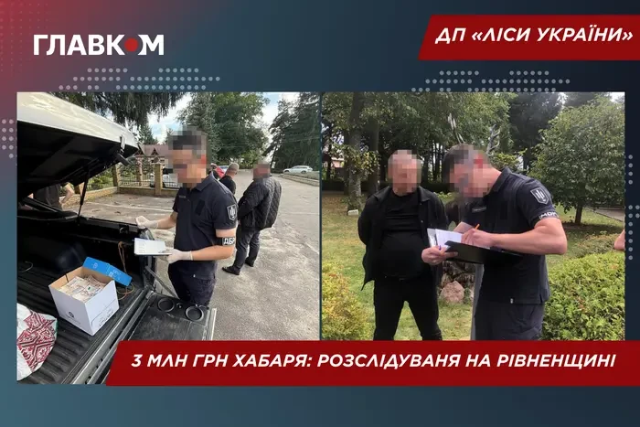 Хабарництво в лісовій галузі: затримано керівника, який хотів 3 млн грн з підрядника