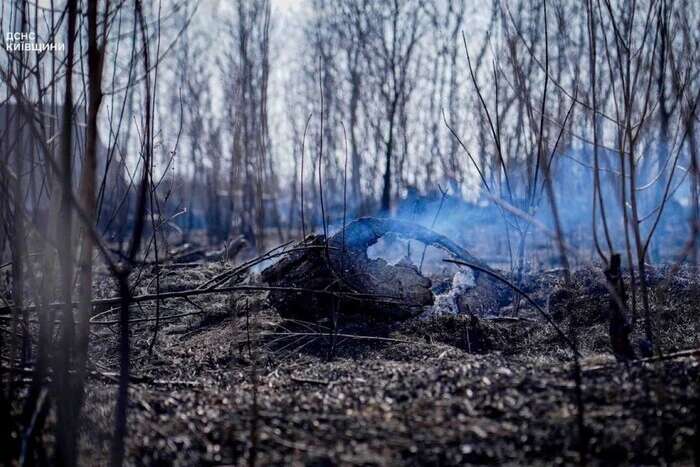 Нічна атака дронів: у двох районах Київщини пошкоджено приватні будинки