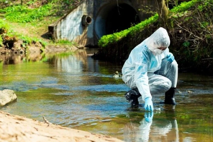 В Україні практично зупинено дослідження водойм та риби: пояснення науковиці