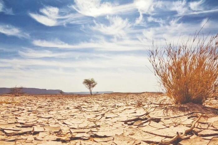 «Це шок, але передбачуваний»: ООН доповів про розрив у кліматичних зобов'язаннях