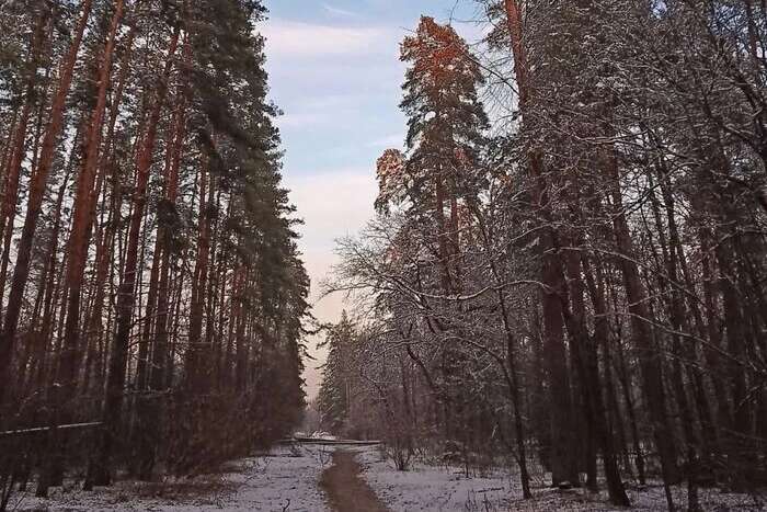 Моніторинг якості повітря у Києві: де найбезпечніше дихати