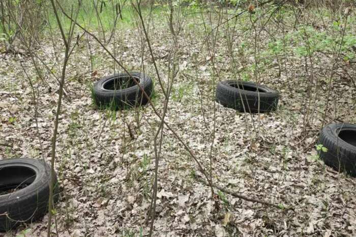 У Голосіївському районі виявлено незаконне будівництво та засмічення прибережної смуги