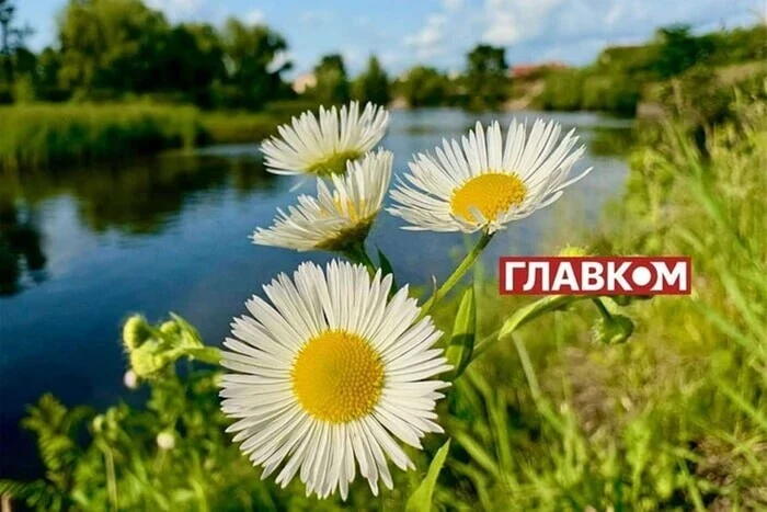 В Україні очікується дуже високий стрибок температури повітря – Діденко